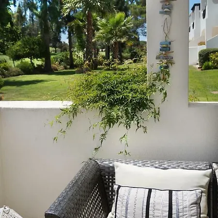 Palmeira Vip